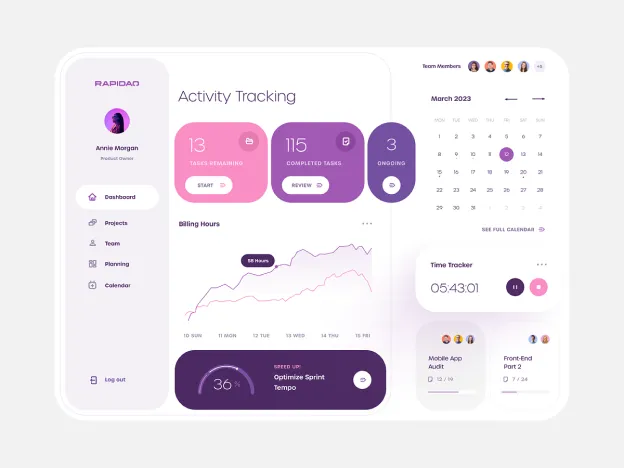 Project interface design