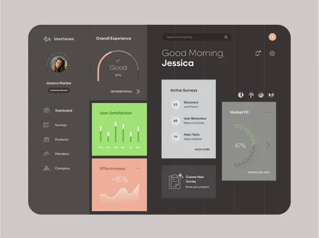 Project interface design